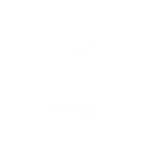 Prime & Co